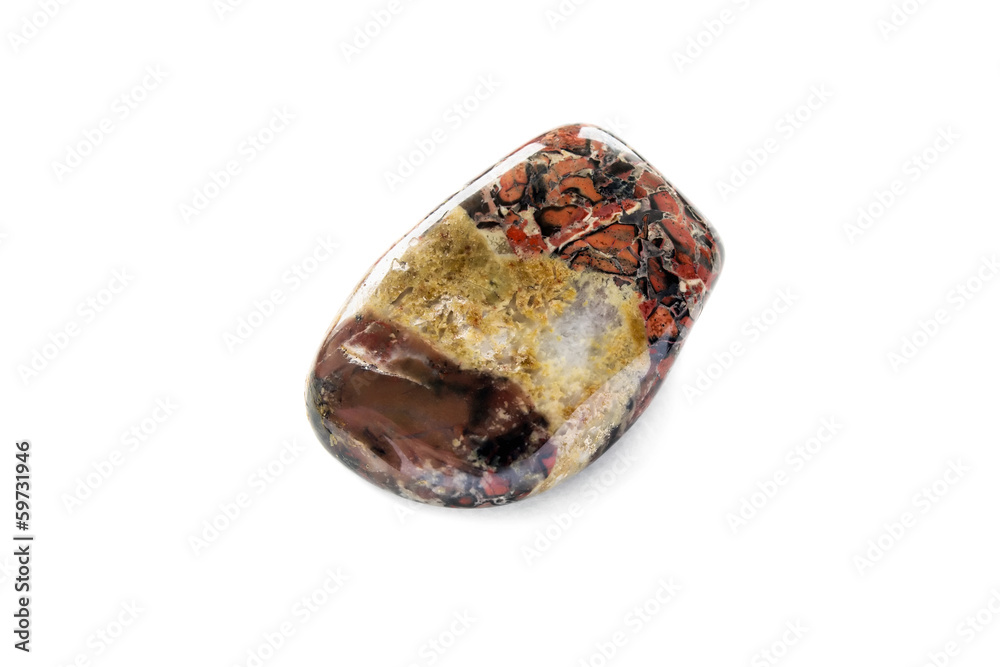 Jasper Jasper
