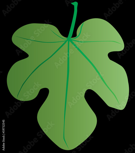 Fig Leaf