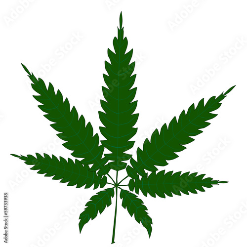 Cannabis Leaf