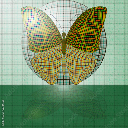 butterfly on the ball