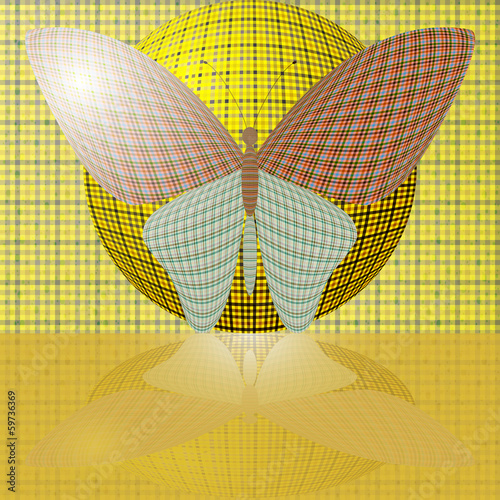 butterfly on the ball