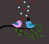 Birds and love