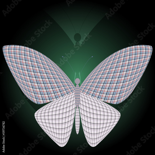 butterfly