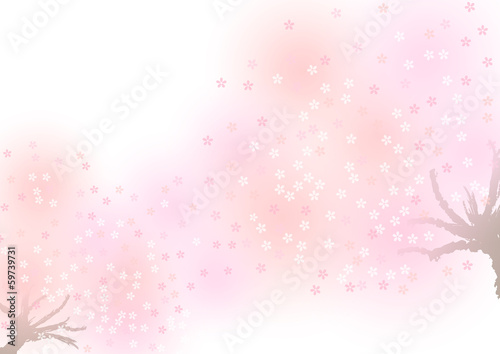ふんわり桜
