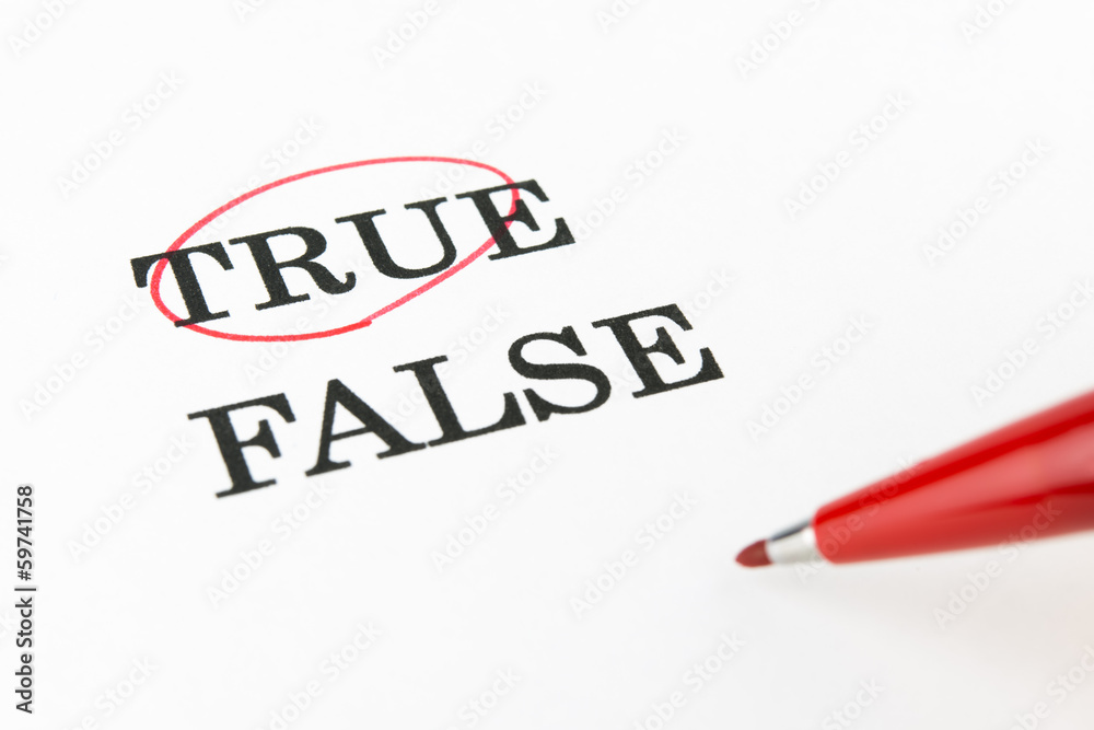 true false 真実 嘘 true false 真実 嘘