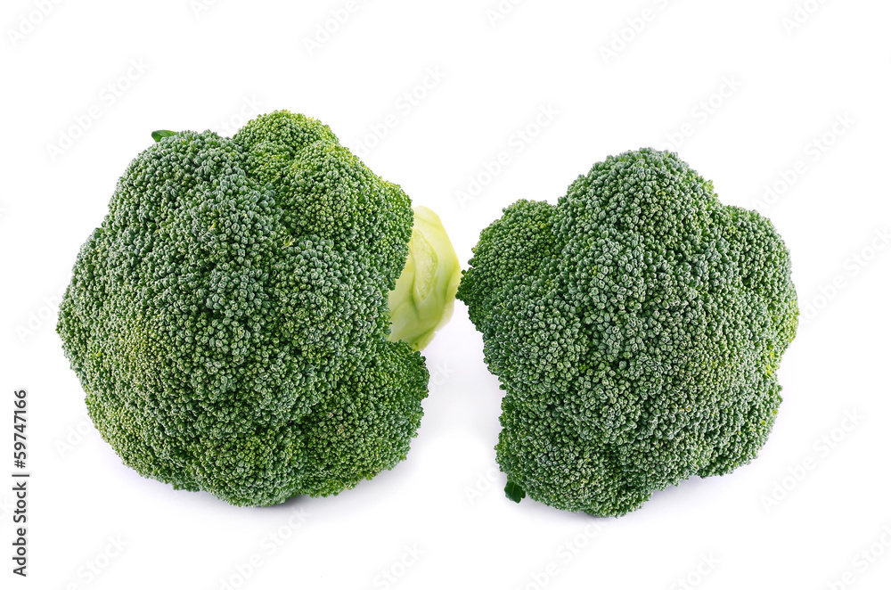 Healthy brocoli isolated on a white background Healthy brocoli isolated on a white background