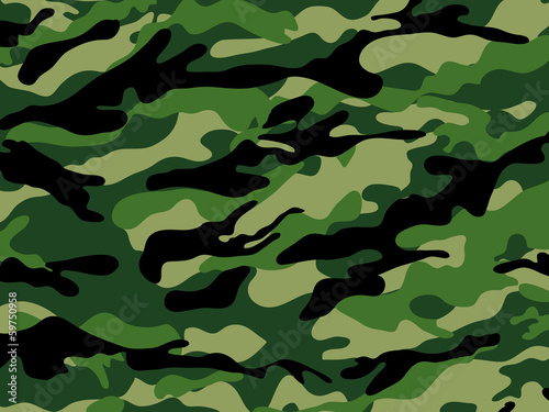 Military camouflage background.
