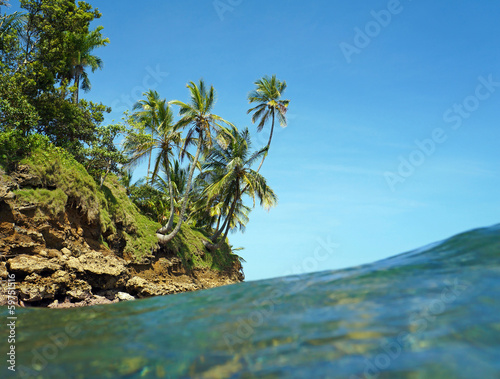 Coconut trees over the sea