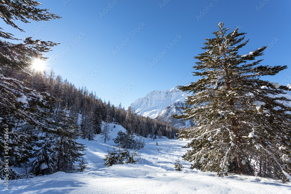Naklejka premium paesaggio invernale