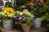Blumenladen, Flower-Shop