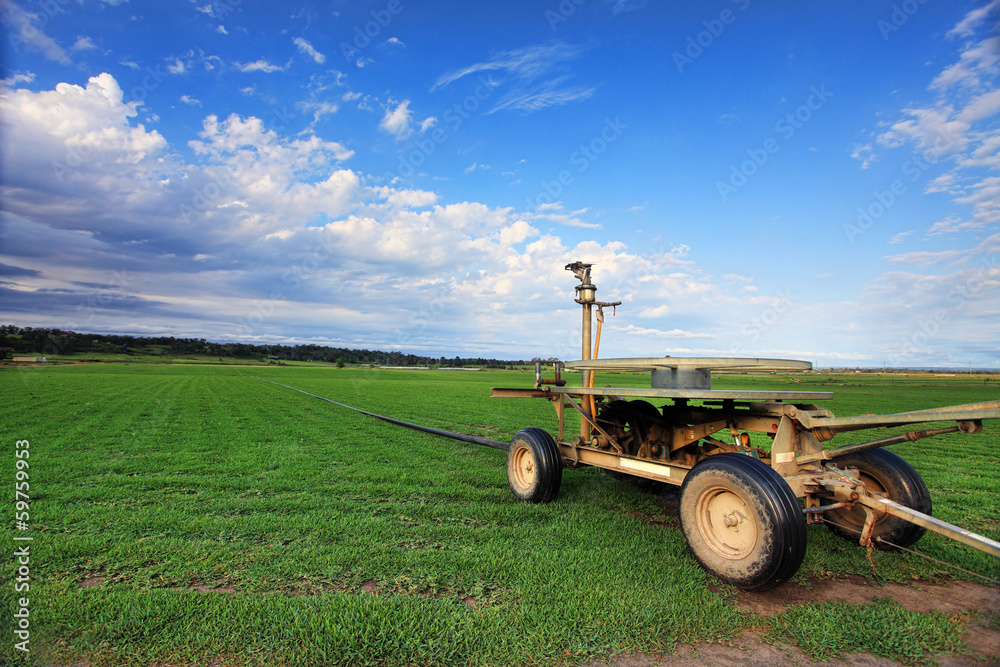 Fototapeta premium Turf farming, Australia