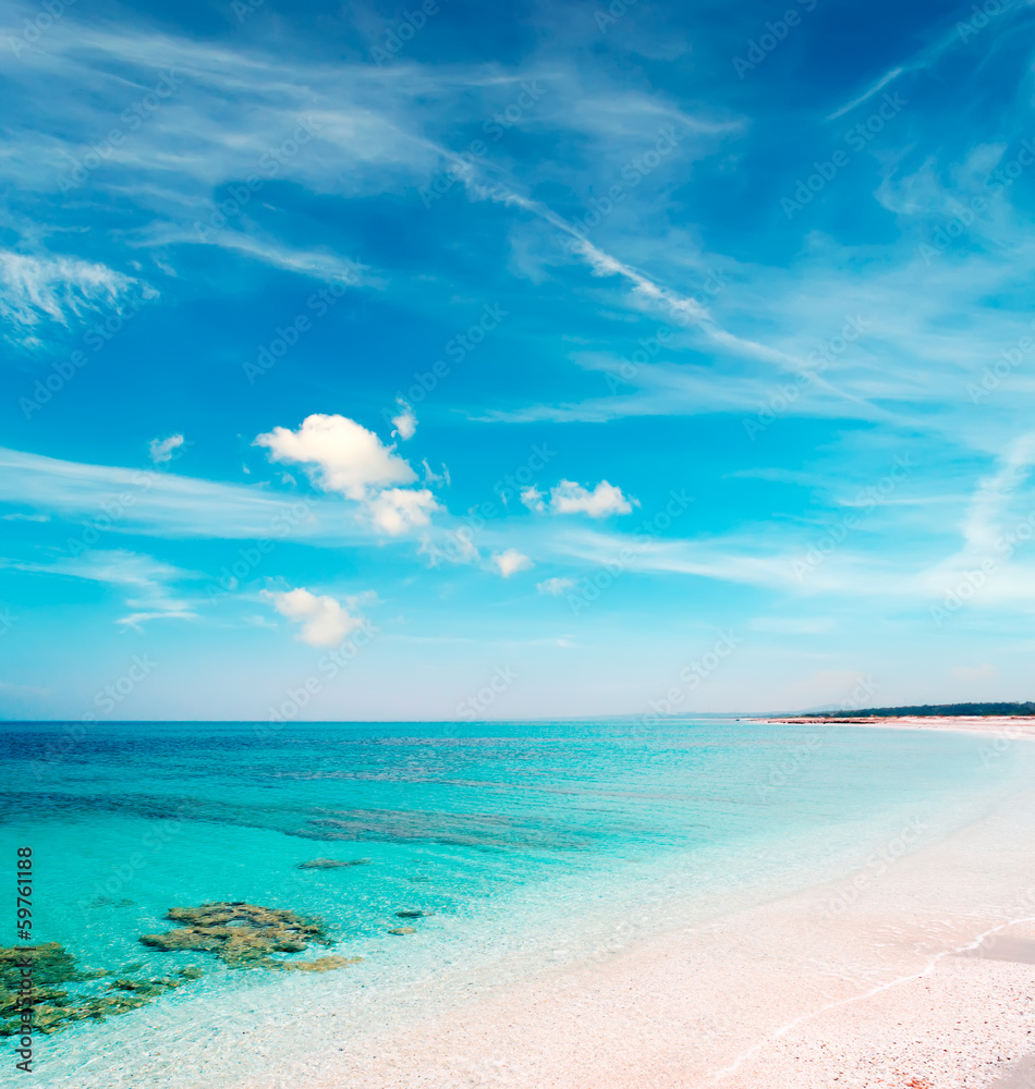 Obraz premium Stintino sandy shore