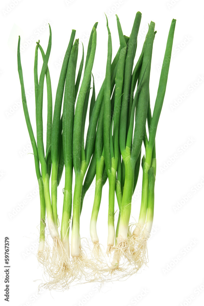 Naklejka premium Spring Onions