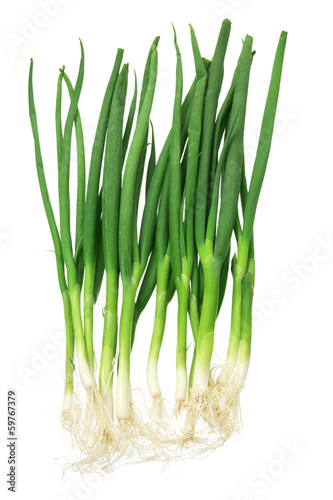 Spring Onions