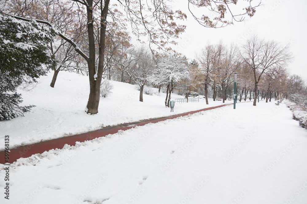Empy Road and Snow in Margaret Island, Budapest Empy Road and Snow in Margaret Island, Budapest