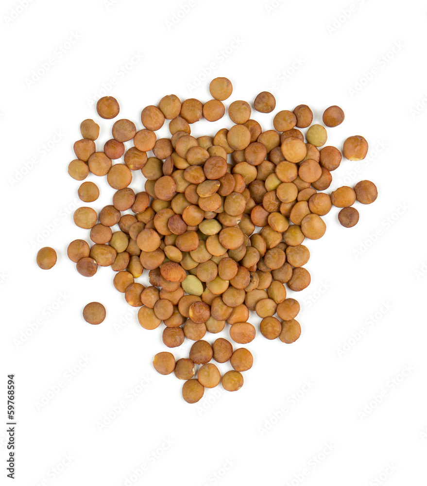 brown lentils isolated on white brown lentils isolated on white