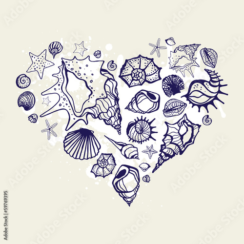 Heart of the shells.