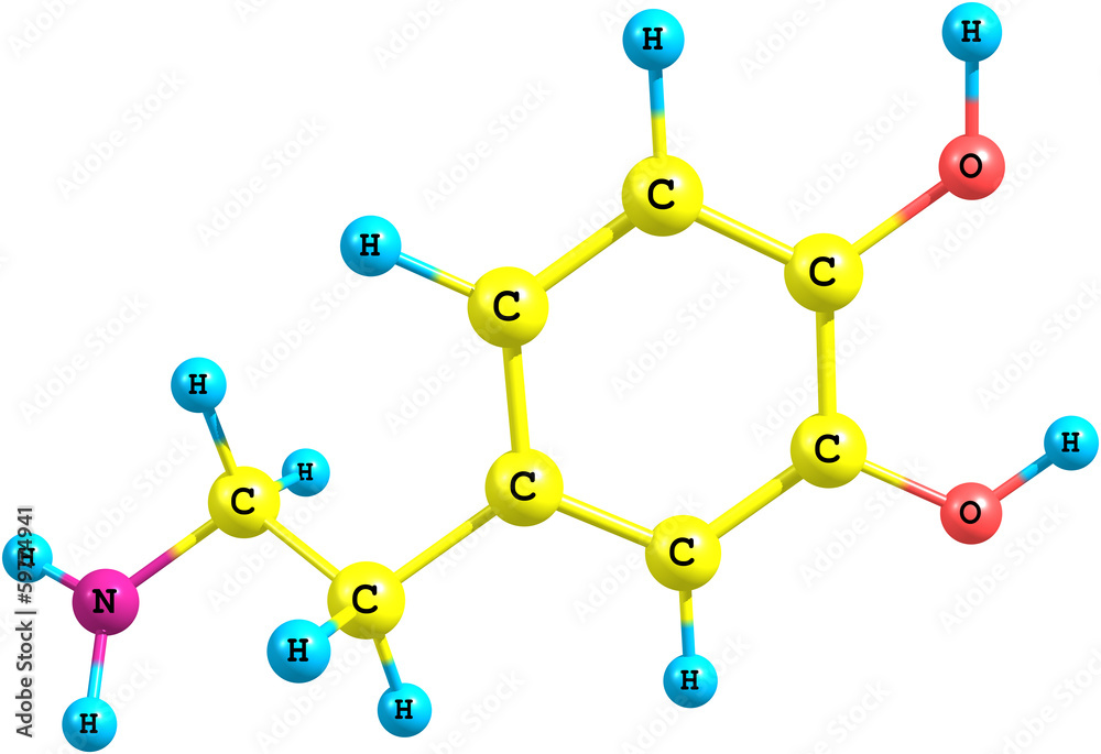 Dopamine molecule isolated on white Dopamine molecule isolated on white