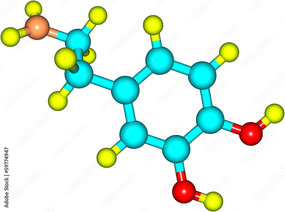 Dopamine molecule isolated on white Dopamine molecule isolated on white