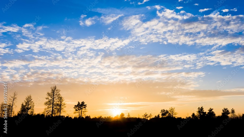 dramatic sunset over a forest glade dramatic sunset over a forest glade