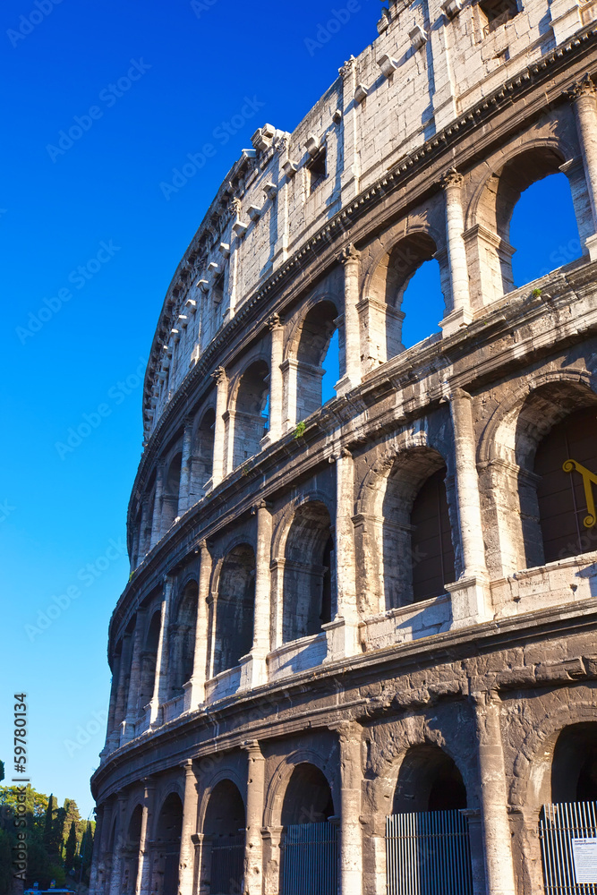 Fototapeta premium Colosseum in Rome