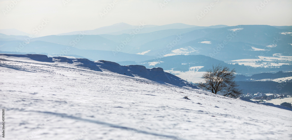 Horizontal winter landscape