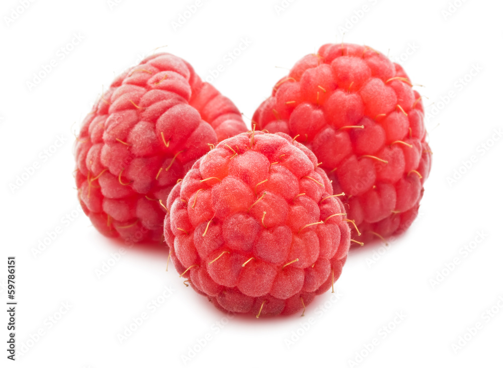 Fresh raspberries Fresh raspberries