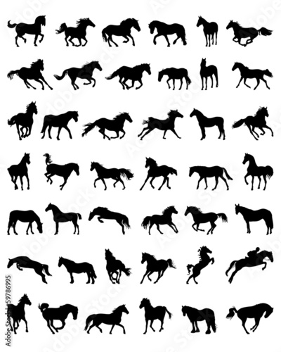 Black silhouettes of horses  vector