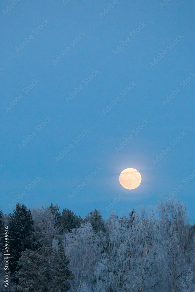 Full moon over frost covered forest Full moon over frost covered forest