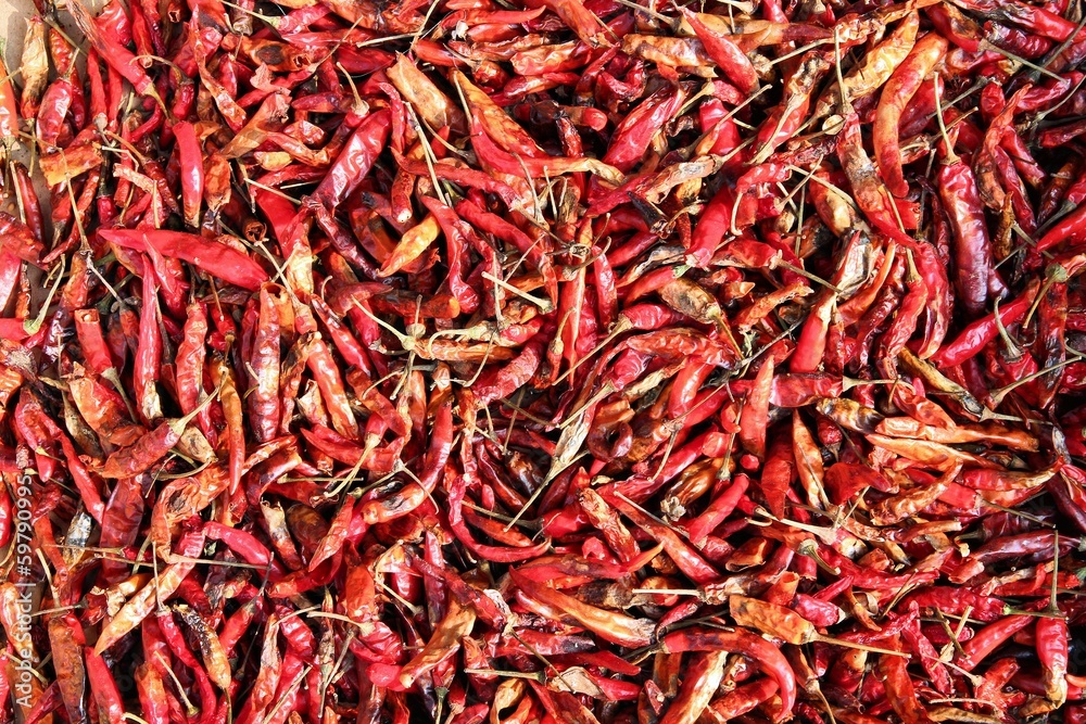 Drying chili peppers Drying chili peppers