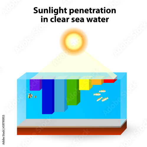 Sunlight absorption occurs in clear water