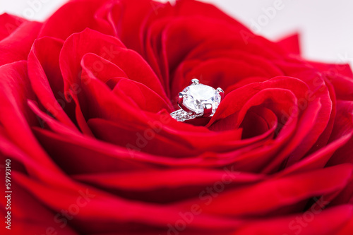 wunderschöner silberner ring in einer roten rose makro © juniart