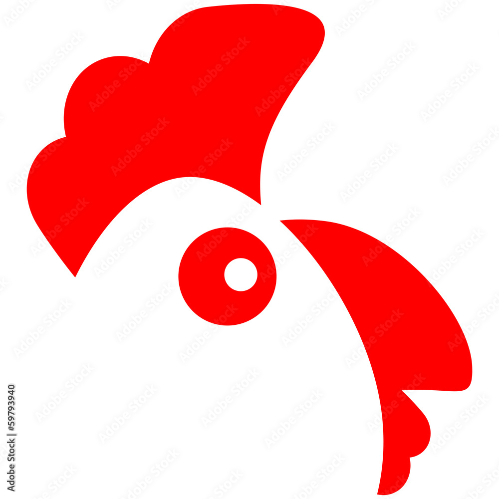Chicken Chicken