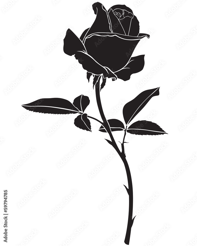 Silhouette rose flower - obrazy, fototapety, plakaty 