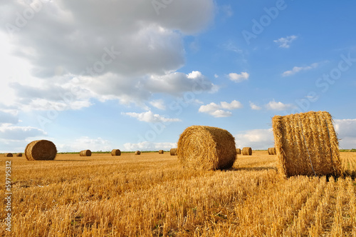 Photography meules de foin