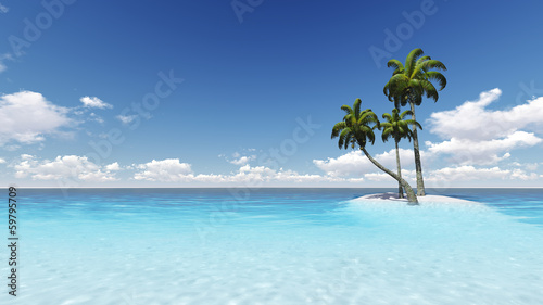 beach palm coconut trees - CG