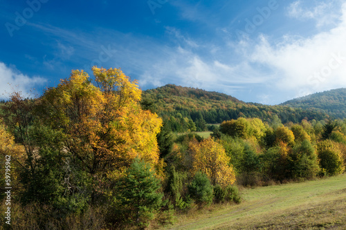 Carpathian Autumn