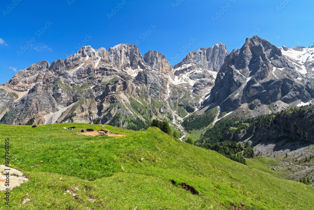 Dolomiti - Marmolada group from Contrin Valley