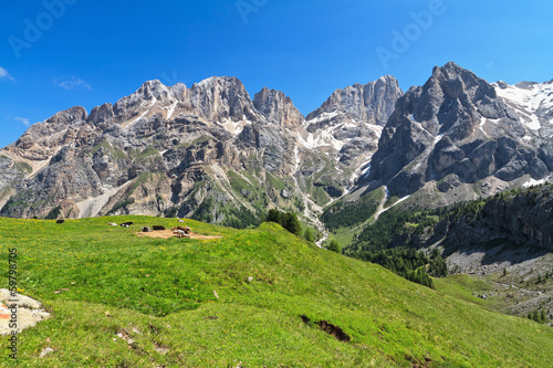 Dolomiti - Marmolada group from Contrin Valley