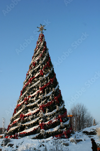 Big christmas tree