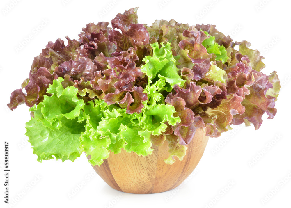 fresh green lettuce leaves isolated on white fresh green lettuce leaves isolated on white