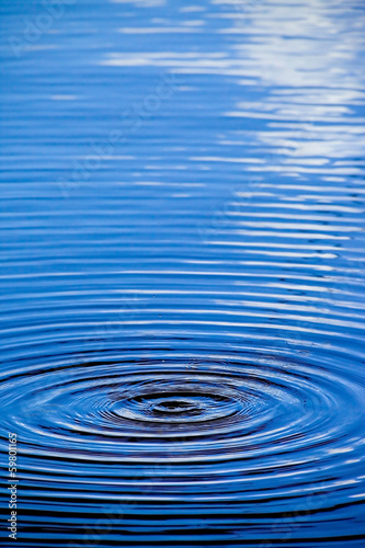 Ronds dans l'eau