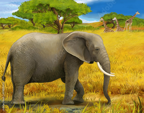 Safari - elephant - illustration for the children