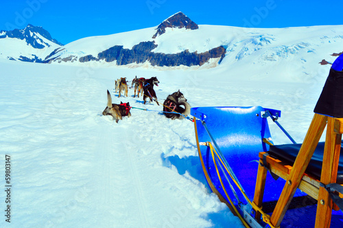 Obraz na plátne Husky dogs and sled on Mendenhall Glacier, Juneau Alaska