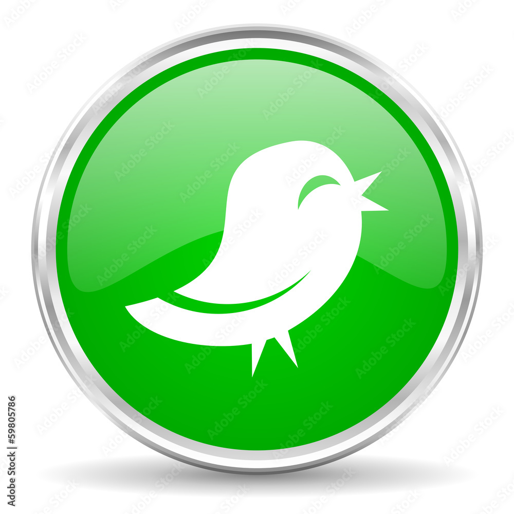 twitter icon twitter icon