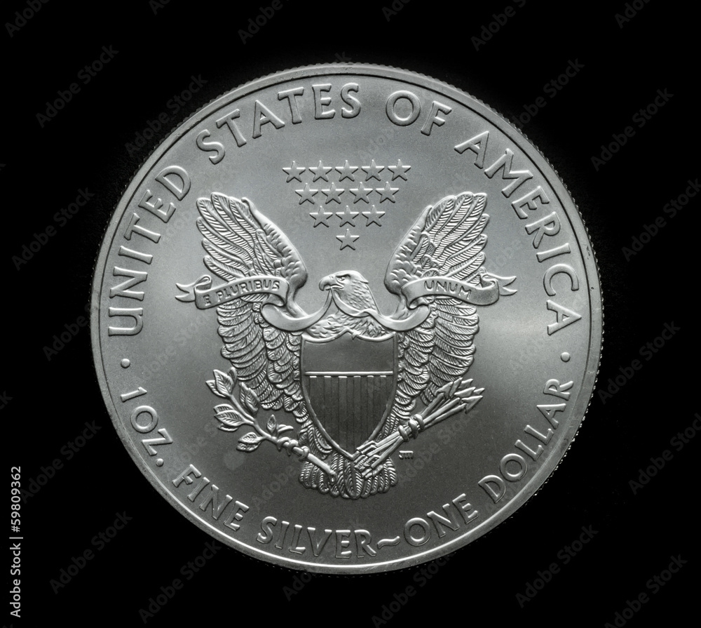 dollar coin dollar coin