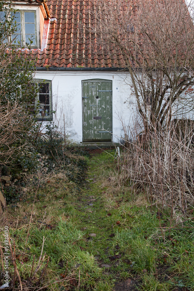 Old Worn Door and Overgrown Garden Old Worn Door and Overgrown Garden