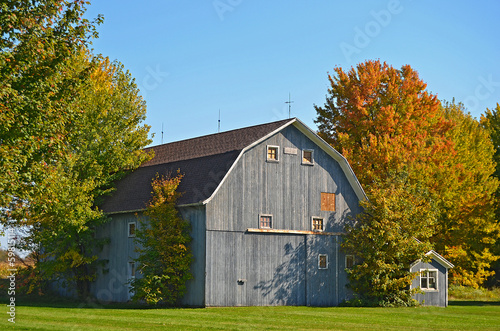 barn with autumn foliage © driftwood