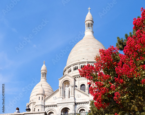 Sacre-Coeur, Paris close-up with red bush