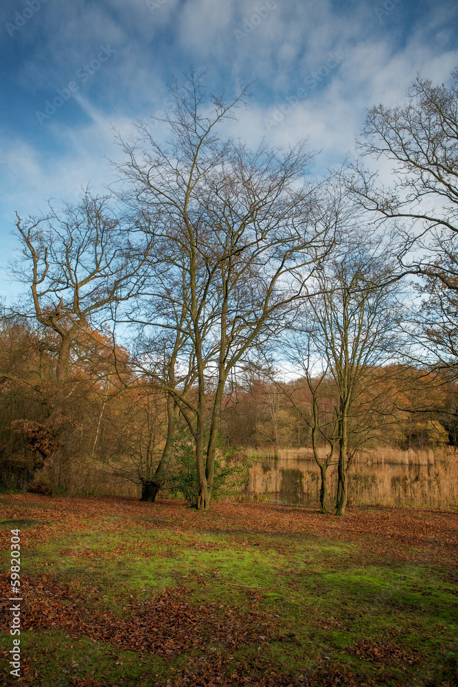 countryside park